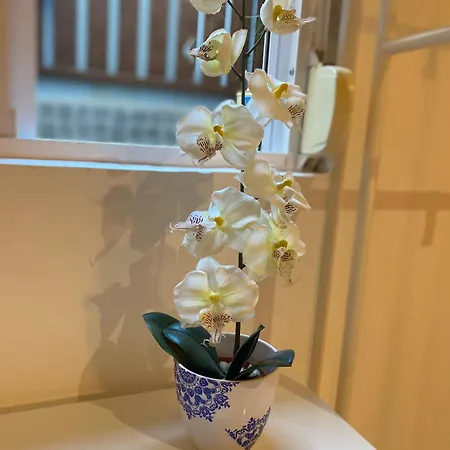 Flat Graca 48 شقة *