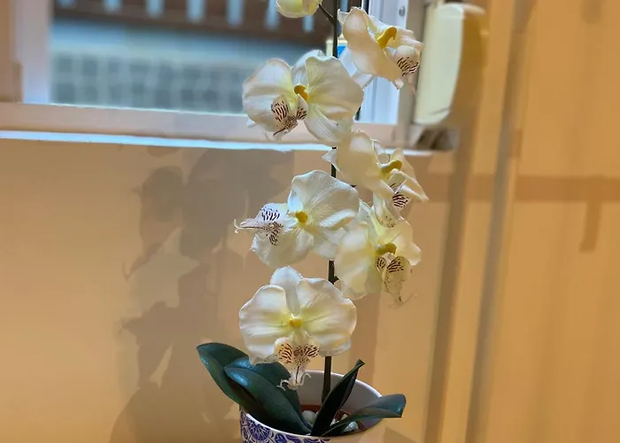 Flat Graca 48 Apartment *